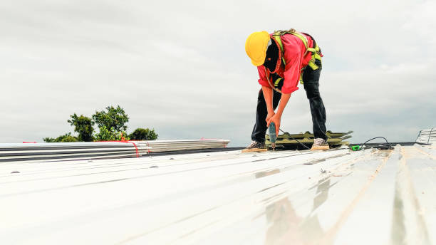 Professional Roofing Service  in White Bluff, TN